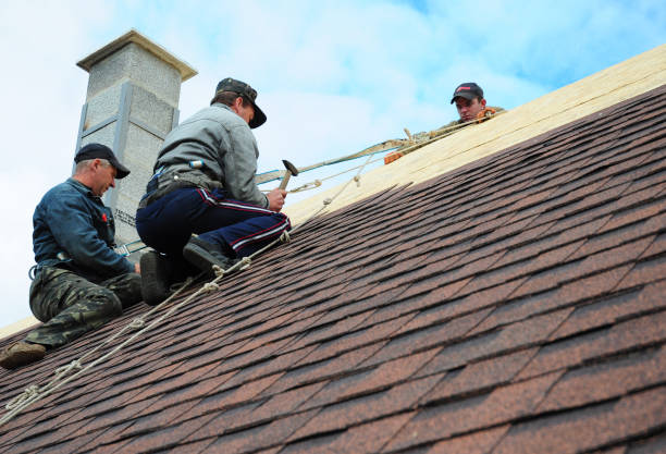Best Commercial Roofing Services  in Foreman, AR